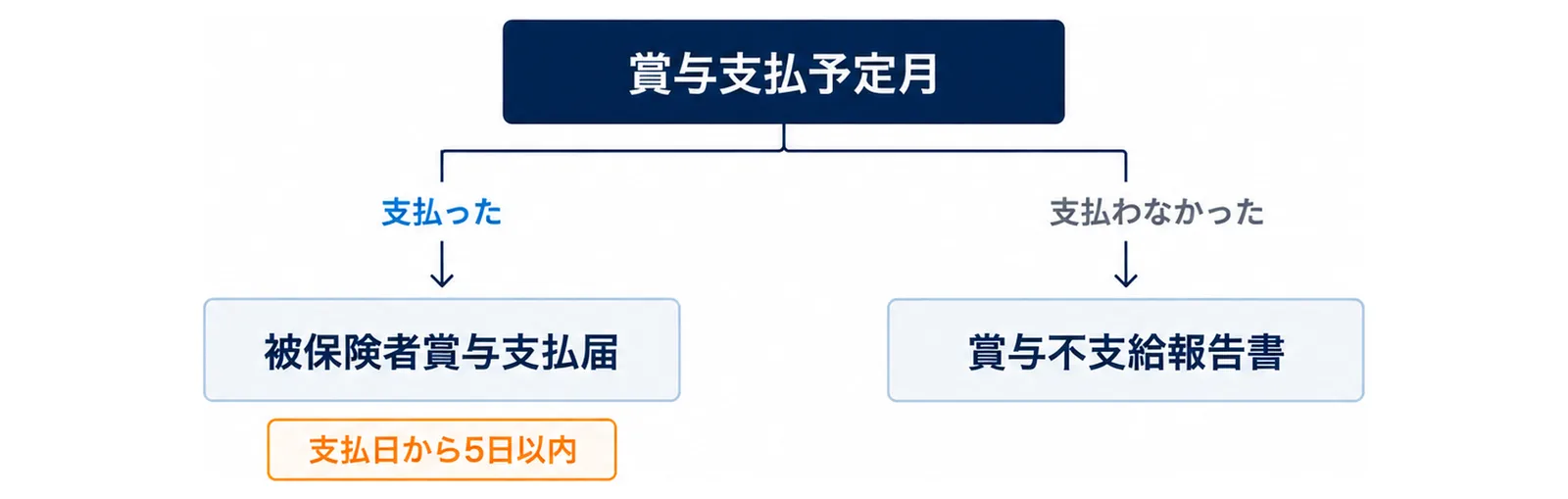 図: 賞与支払予定月に賞与を支払ったら被保険者賞与支払届を支払日から5日以内に、支払わなかったら賞与不支給報告書を出す