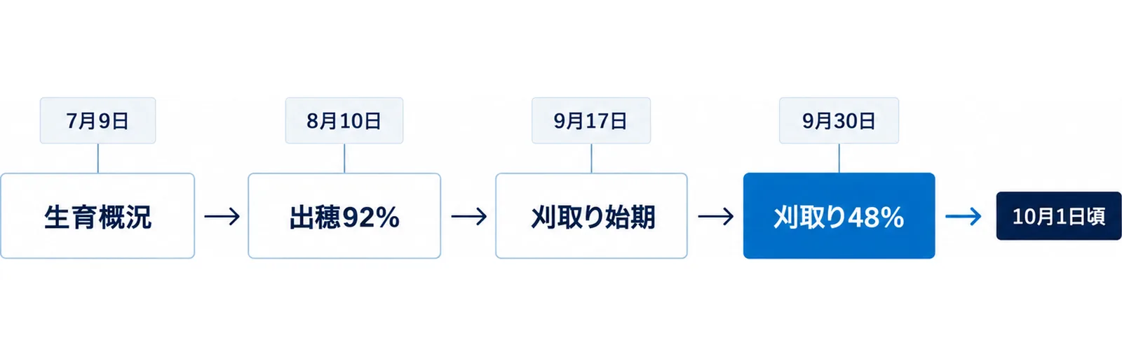 図: 7月9日の生育概況、8月10日の出穂92％、9月17日の刈取り始期、9月30日の刈取り48％、盛期は10月1日頃